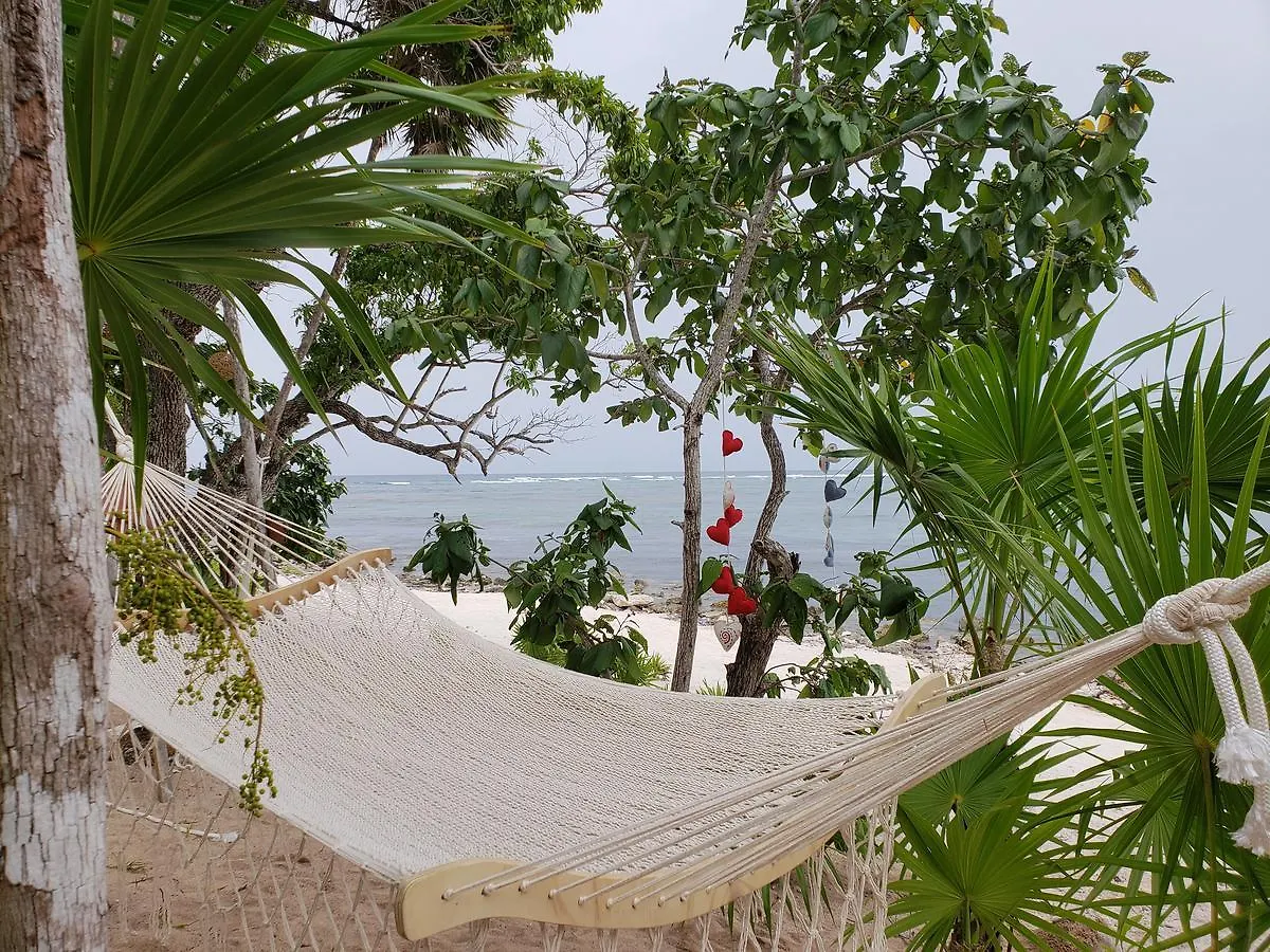 Tulsayab Luxury Development Appartement Tulum Pueblo Mexico