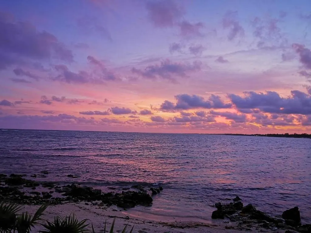 Tulsayab Luxury Development Appartement Tulum Pueblo Mexico