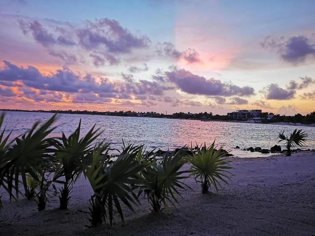 Tulsayab Luxury Development Appartement Tulum Pueblo
